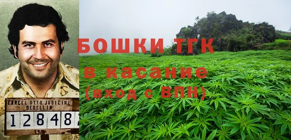 стафф Карпинск
