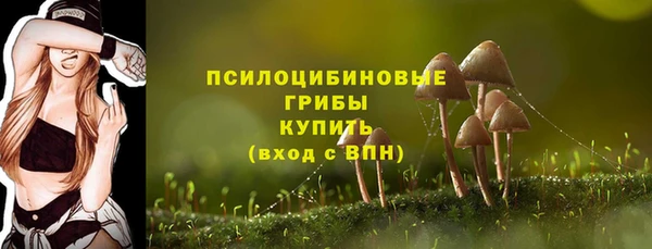 стафф Карпинск