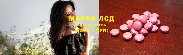 стафф Карпинск