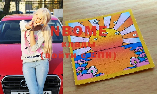 стафф Карпинск