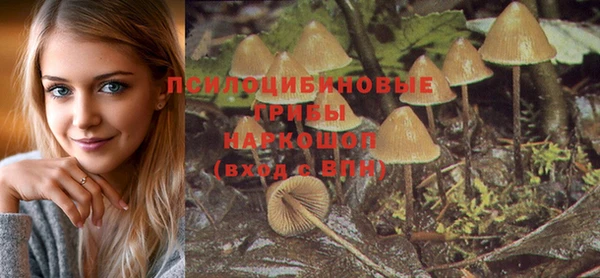 стафф Карпинск