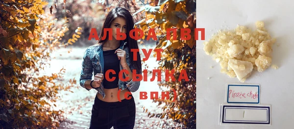 стафф Карпинск