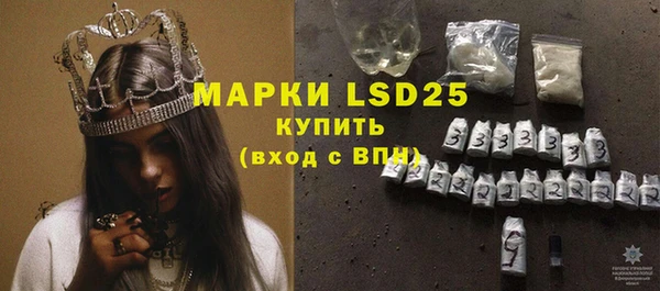 стафф Карпинск