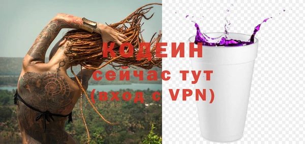 стафф Карпинск