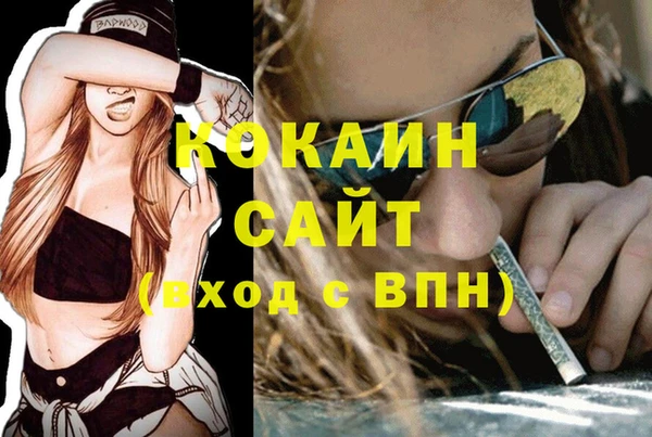 стафф Карпинск