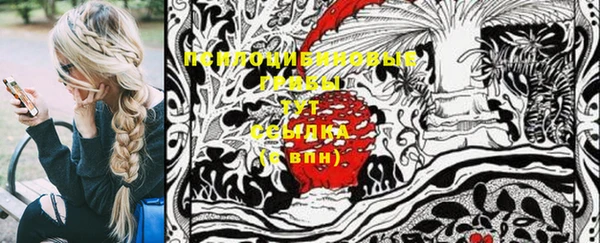 2c-b Карталы