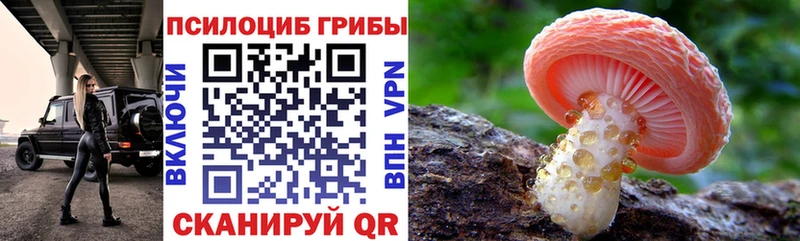 Купить закладки  Симферополь  Галлюциногенные грибы Psilocybine cubensis 